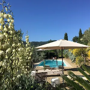 Ventena Vecchia Antico Frantoio Montevarchi